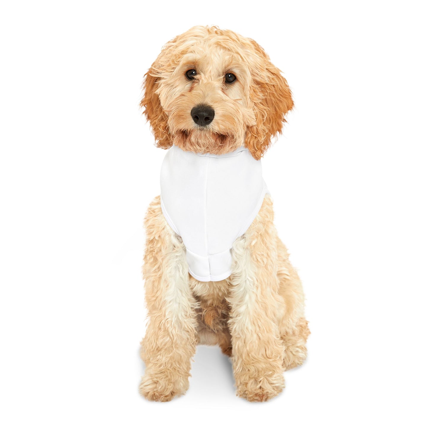 Cute "Big Brother" Dog Hoodie - FREE SHIPPING