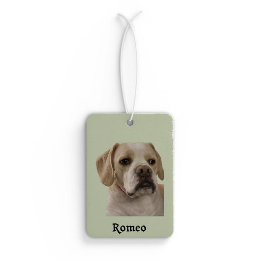 Car Air Freshener - FREE SHIPPING